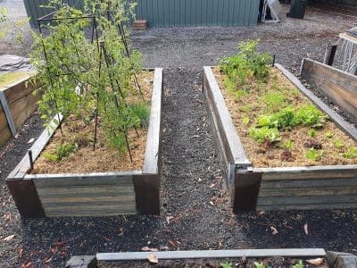 Raised Timber Garden Beds completed
